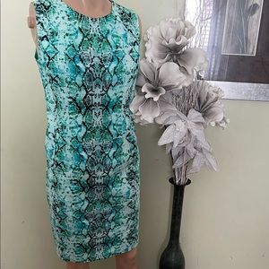 Snake skin print sheath dress.
By: Liz Claiborne